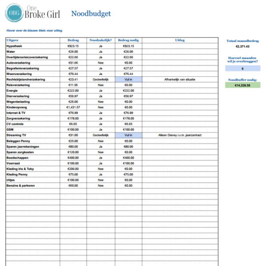 Noodbudget (Excel/Google Sheets)