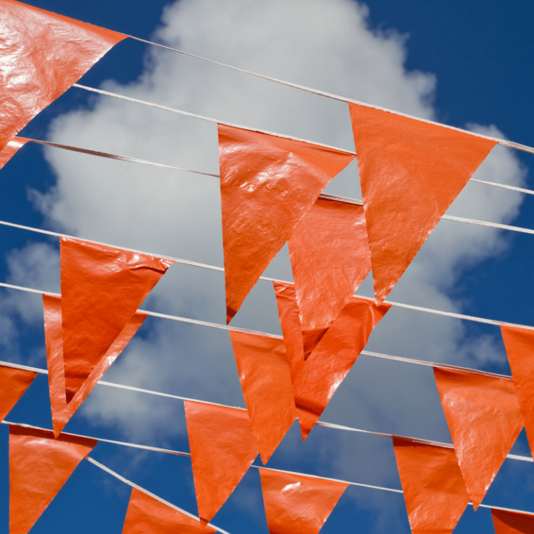 Geld verdienen kind koningsdag