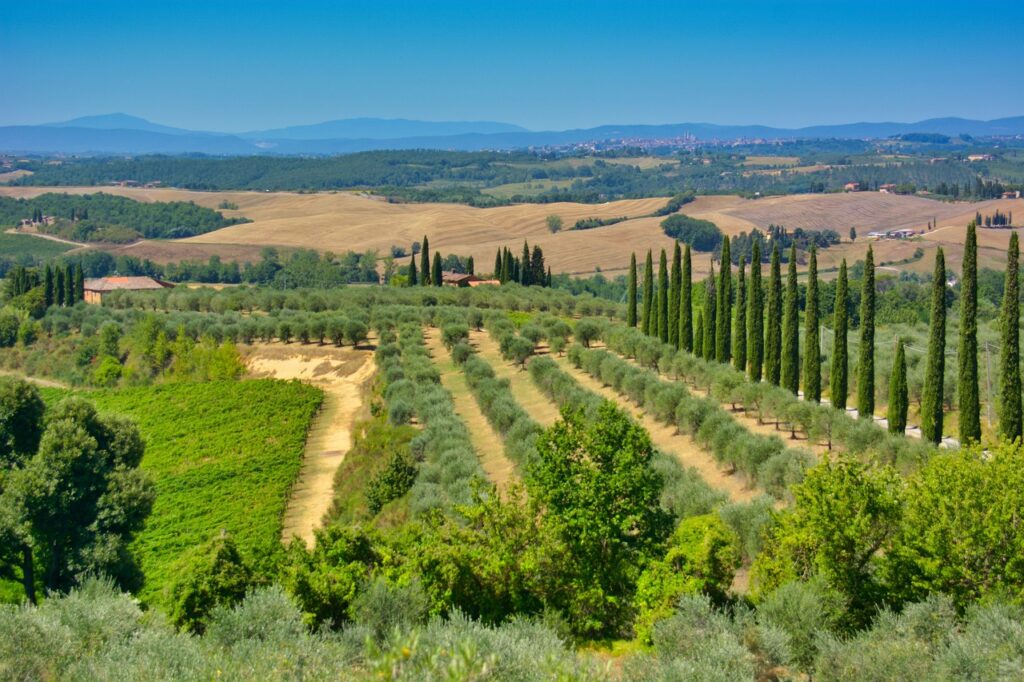 meenemen uit Italië