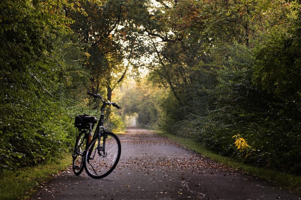 goedkope elektrische fiets