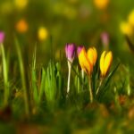 gratis uitjes in de voorjaarsvakantie