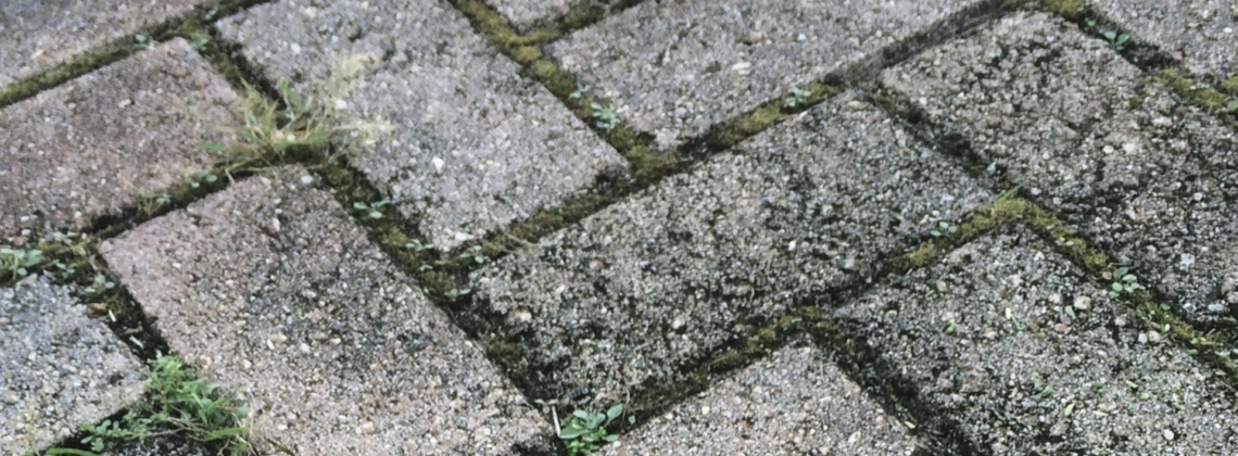 hogedrukspuit-Achate