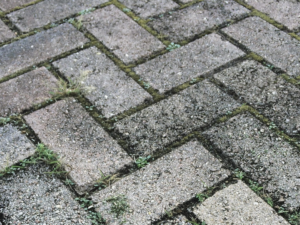 hogedrukspuit-Achate