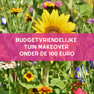 tuin makeover